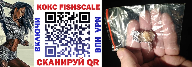Купить закладки  Кузнецк  Кокаин Fish Scale 