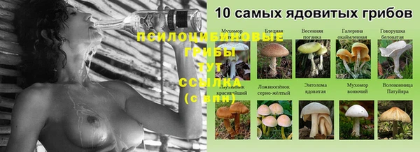 герыч Вяземский