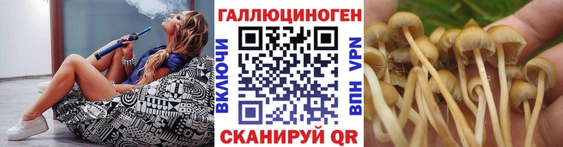 Купить закладки  Кузнецк  Галлюциногенные грибы мицелий 